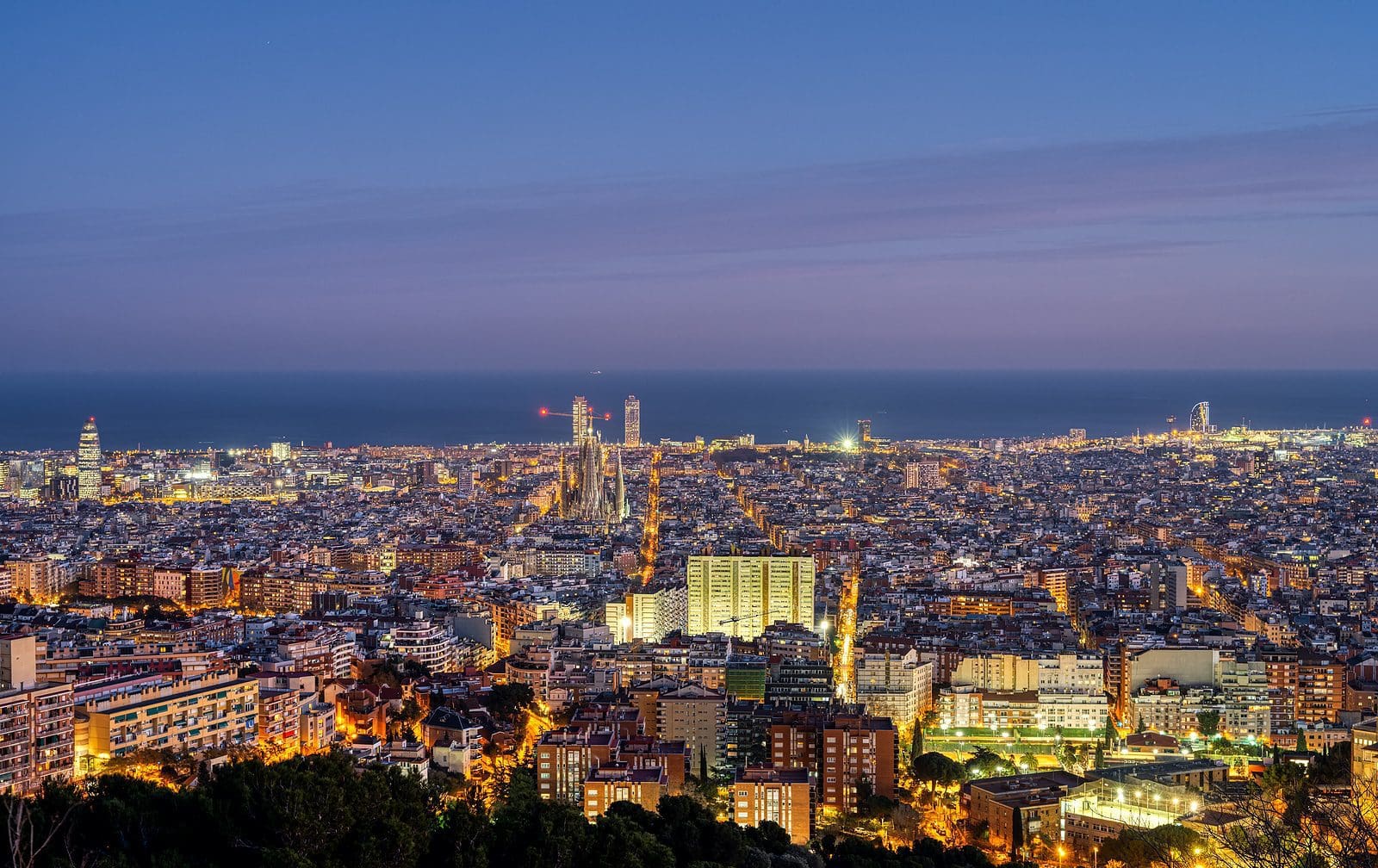 From Street Food to Fine Dining: A Global Culinary Adventure